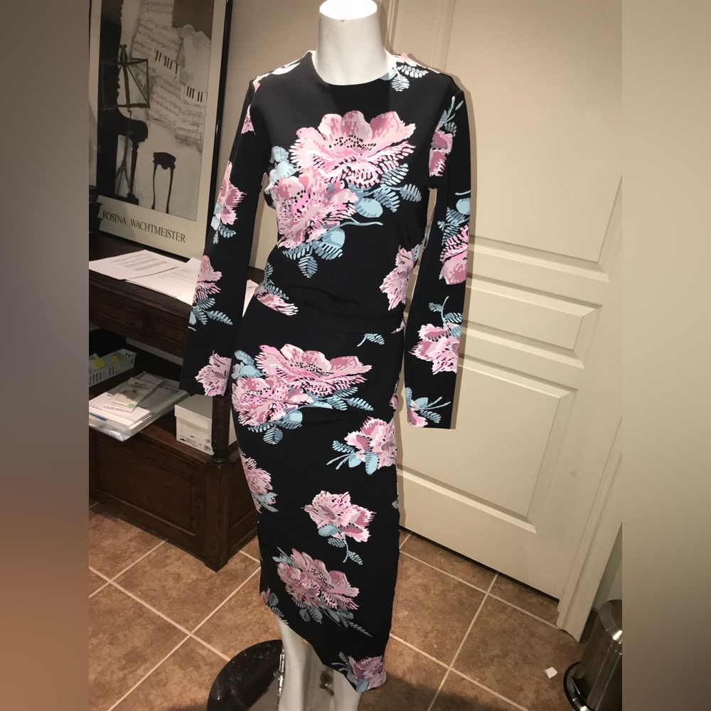 Elizabeth and James Black and Pink Floral Dress
